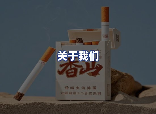 专业团队